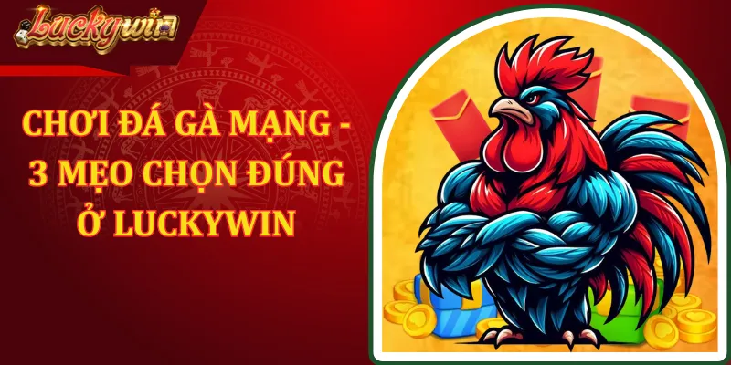 Chơi Đá Gà Mạng - 3 Mẹo Giúp Chọn Đúng Ở LUCKYWIN